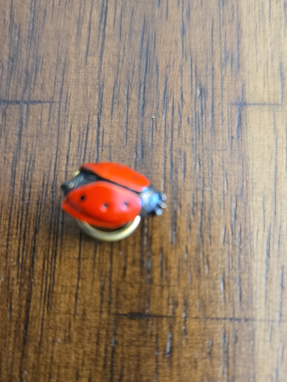 Ladybug Enamel Pin - Red and Black Bug Pin